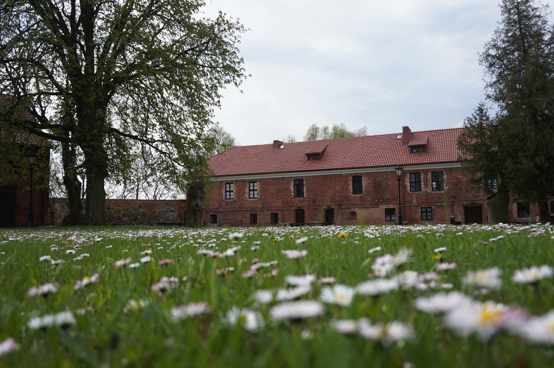 Z pokolenia na pokolenie zabawy dziadków i pradziadków Europejskie